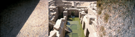  Abydos - Flower of life on the temple wall. 18,000 years old.  Sacred Geometry with Jelila - www.jelila.com