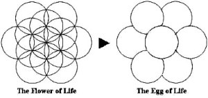 The Egg of life - Sacred Geometry - Jelila - www.jelila.com - Light Language Sacred Geometry Healing    Online