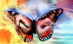 Change is but a flutter away - Jelila - Light Language and Chakra Balancing Online and in Person - www.jelila.com - Butterfly People