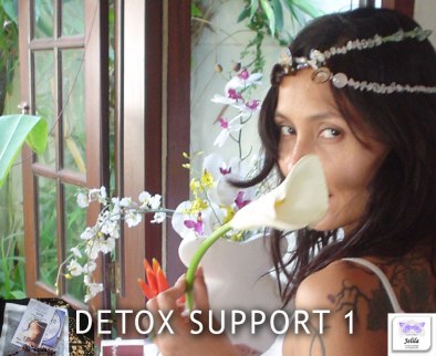 Detox Support Package - popular best at Ubud Sari - Jelila - www.jelila.com