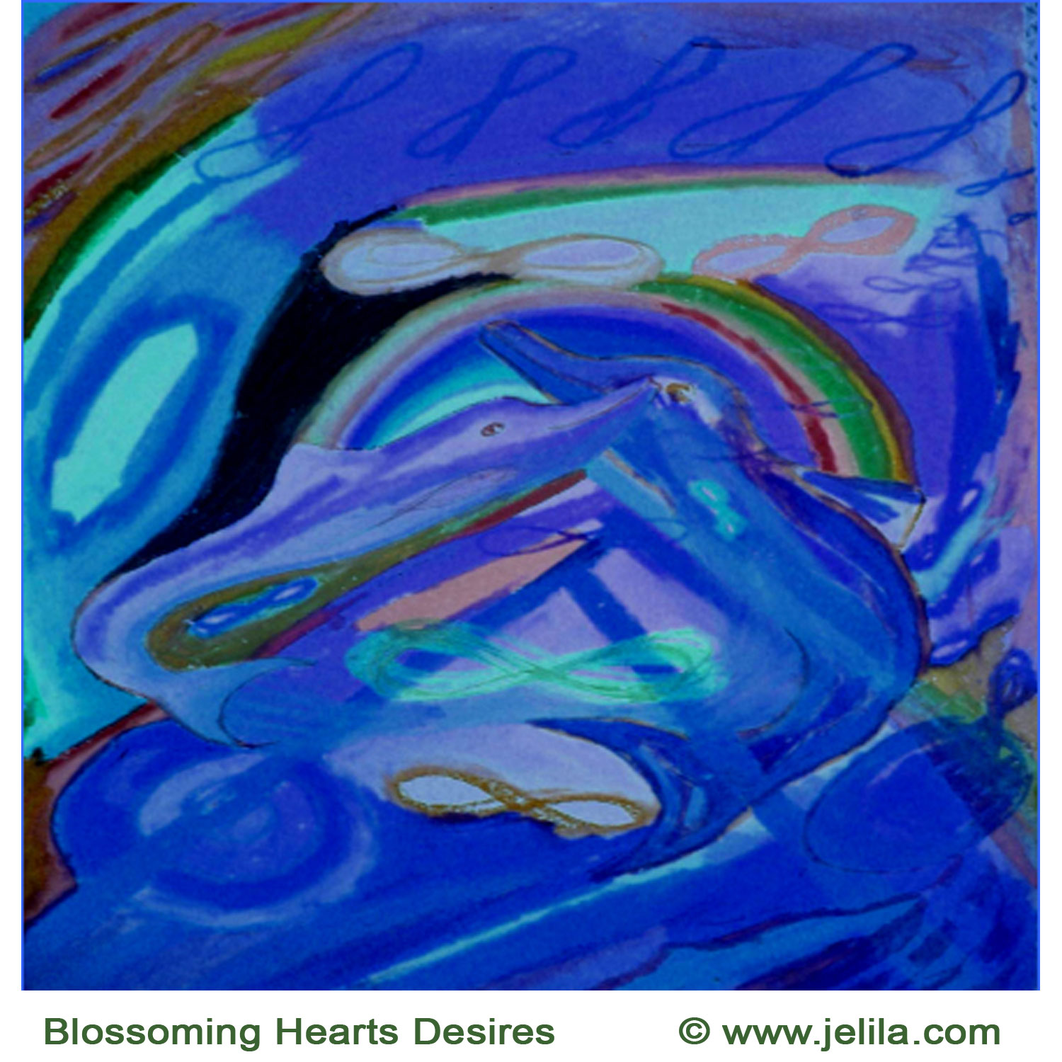 Want to fly with the Dolphins?